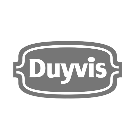 Duyvis
